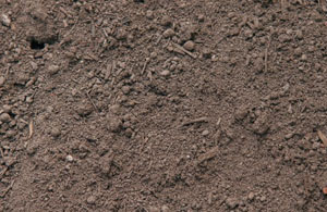 Garden Supplies featured image