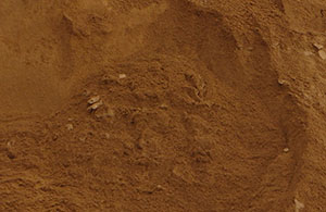 Sands featured image