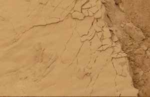 Sands featured image