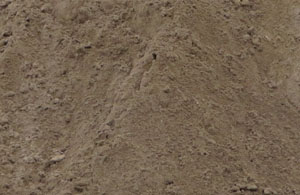 Sands featured image